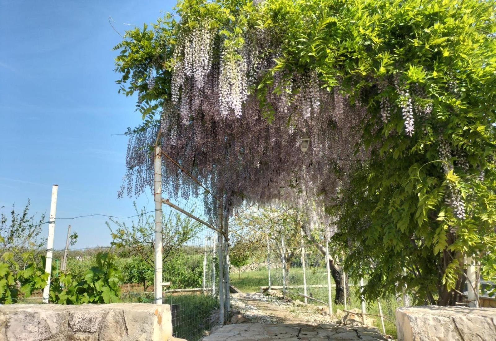 Hotel Il Giardino Delle Fate La Correggia Exterior foto